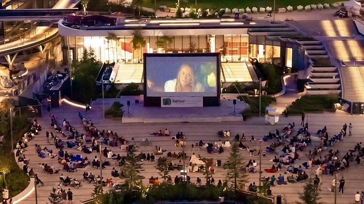 Cinema in the Park