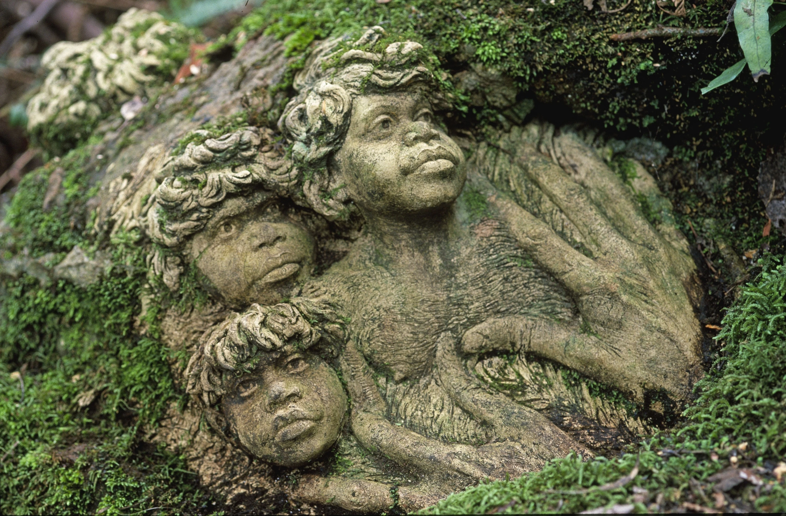 William Ricketts Sanctuary
