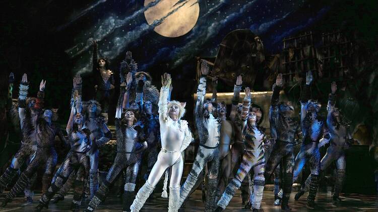 Cats The Musical The Musical