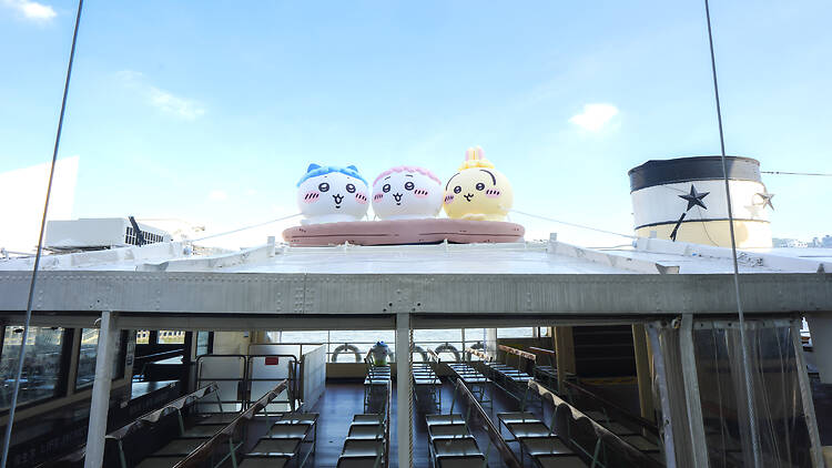 CHIIKAWA Star Ferry Hong Kong Chiikawa x Star Ferry Hong Kong