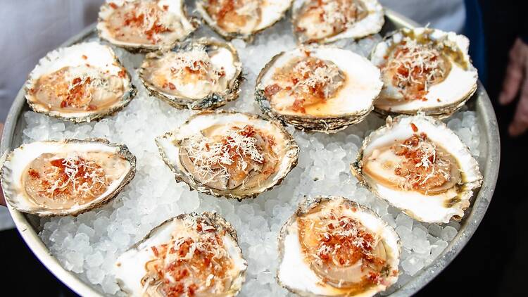 Slurp unlimited native rock oysters at the London Oyster Championships Slurp unlimited native rock oysters at the London Oyster Championships