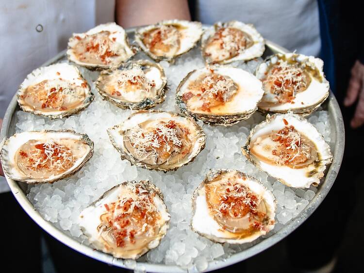 Slurp unlimited native rock oysters at the London Oyster Championships Slurp unlimited native rock oysters at the London Oyster Championships