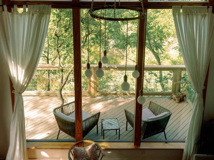 The sycamore treehouse at Palo Alto Creek The sycamore treehouse at Palo Alto Creek