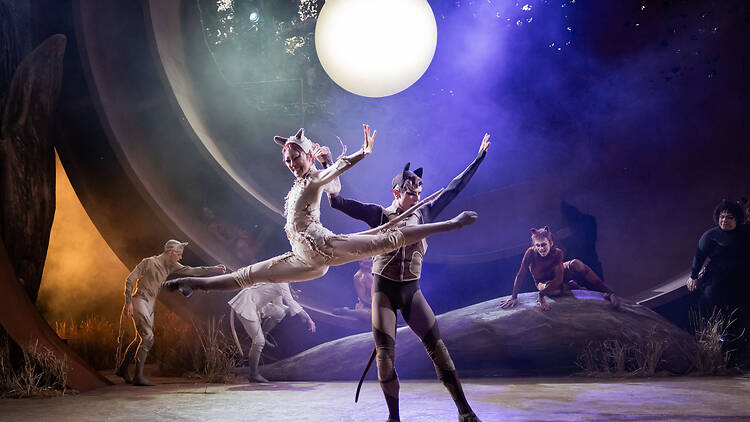 Review: ‘Cats’ at Regent’s Park Open Air Theatre