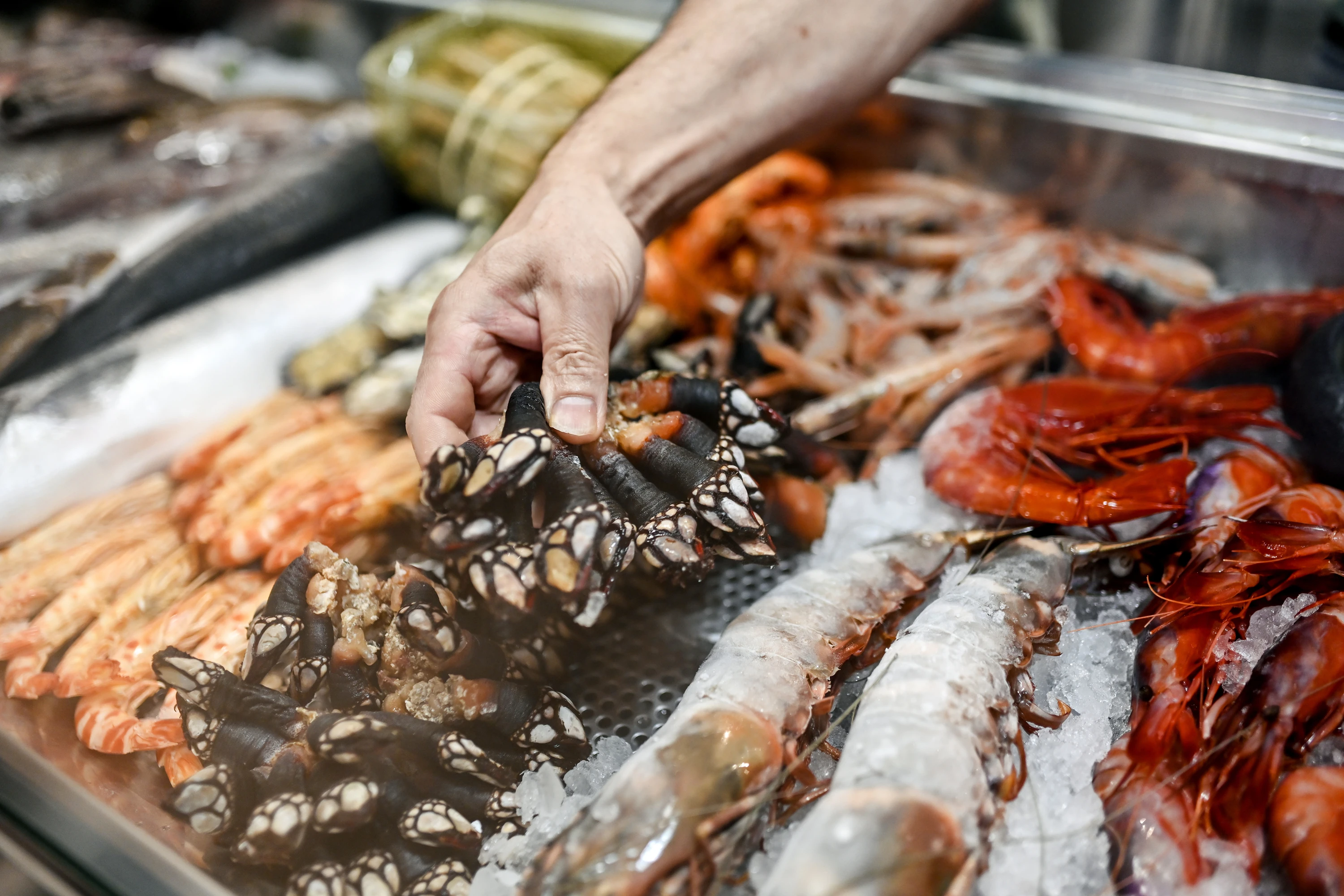 Marisqueira do Pateo