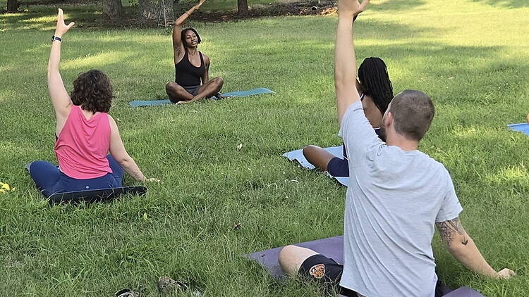 A wide shot of people practicing yoga in a grassy park. A wide shot of people practicing yoga in a grassy park.