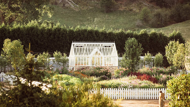 Burradoo Park Farm The glasshouse at Burradoo Park Farm