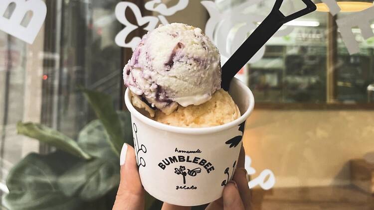 Bumblebee Gelato Bumblebee Gelato