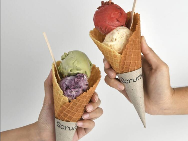 Scrump Gelateria Scrump Gelateria