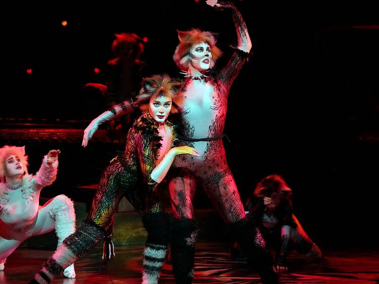 經典音樂劇《Cats》夏季強勢回歸香港
