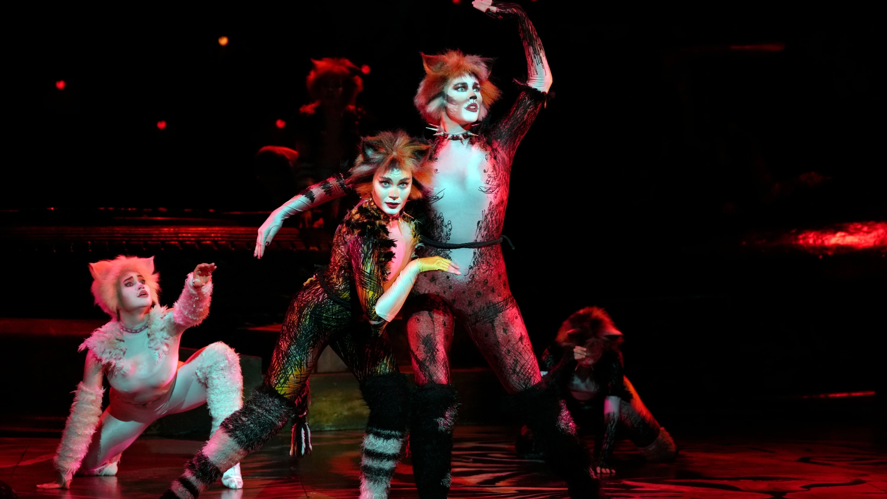 Cats musical