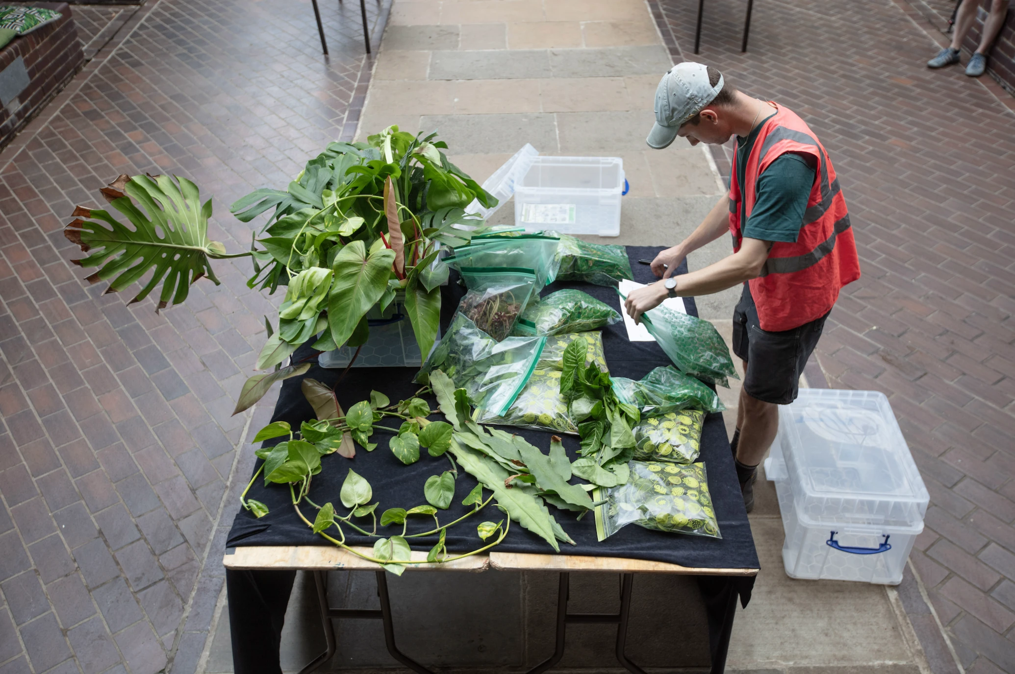 Barbican Conservatory and Wayward Plants