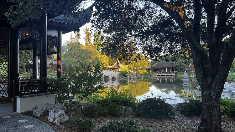 Stroll through the stunning gardens at the Huntington