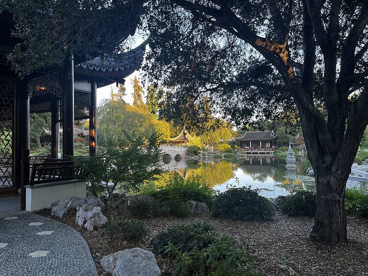 Stroll through the stunning gardens at the Huntington