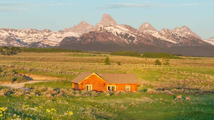 The secluded log cabin in the meadow The secluded log cabin in the meadow