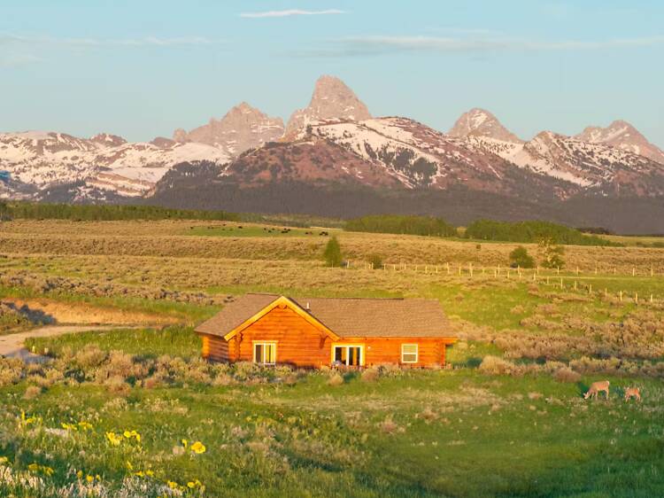 The secluded log cabin in the meadow The secluded log cabin in the meadow