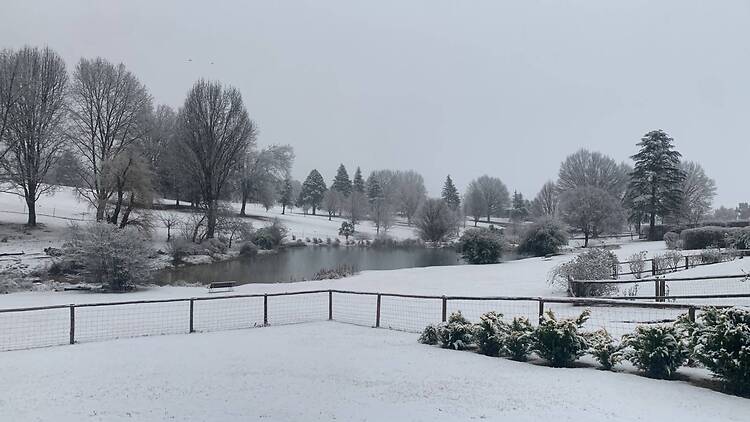 Underberg in KZN is covered in a blanket of snow as the cold front sets in. Underberg in KZN is covered in a blanket of snow as the cold front sets in.