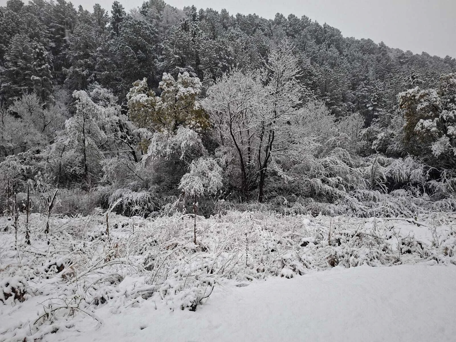 There has been snow sighted in the Drakensberg. 