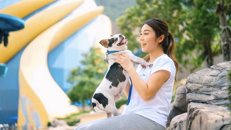 Ocean Park Hong Kong Members' Doggy Day Ocean Park Hong Kong Members' Doggy Day