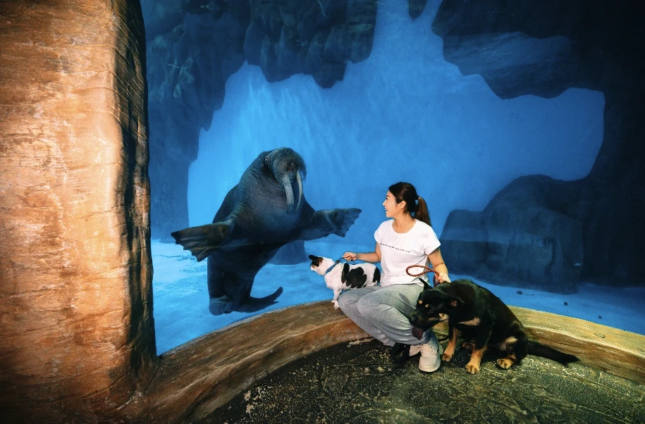 Ocean Park Hong Kong Members' Doggy Day