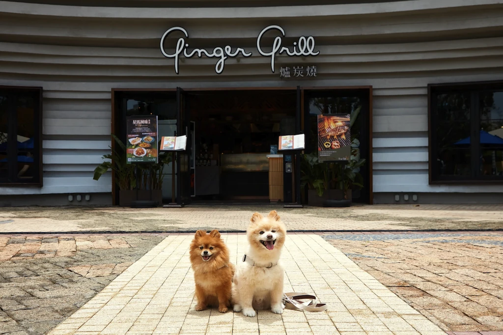 Ocean Park Hong Kong Members' Doggy Day