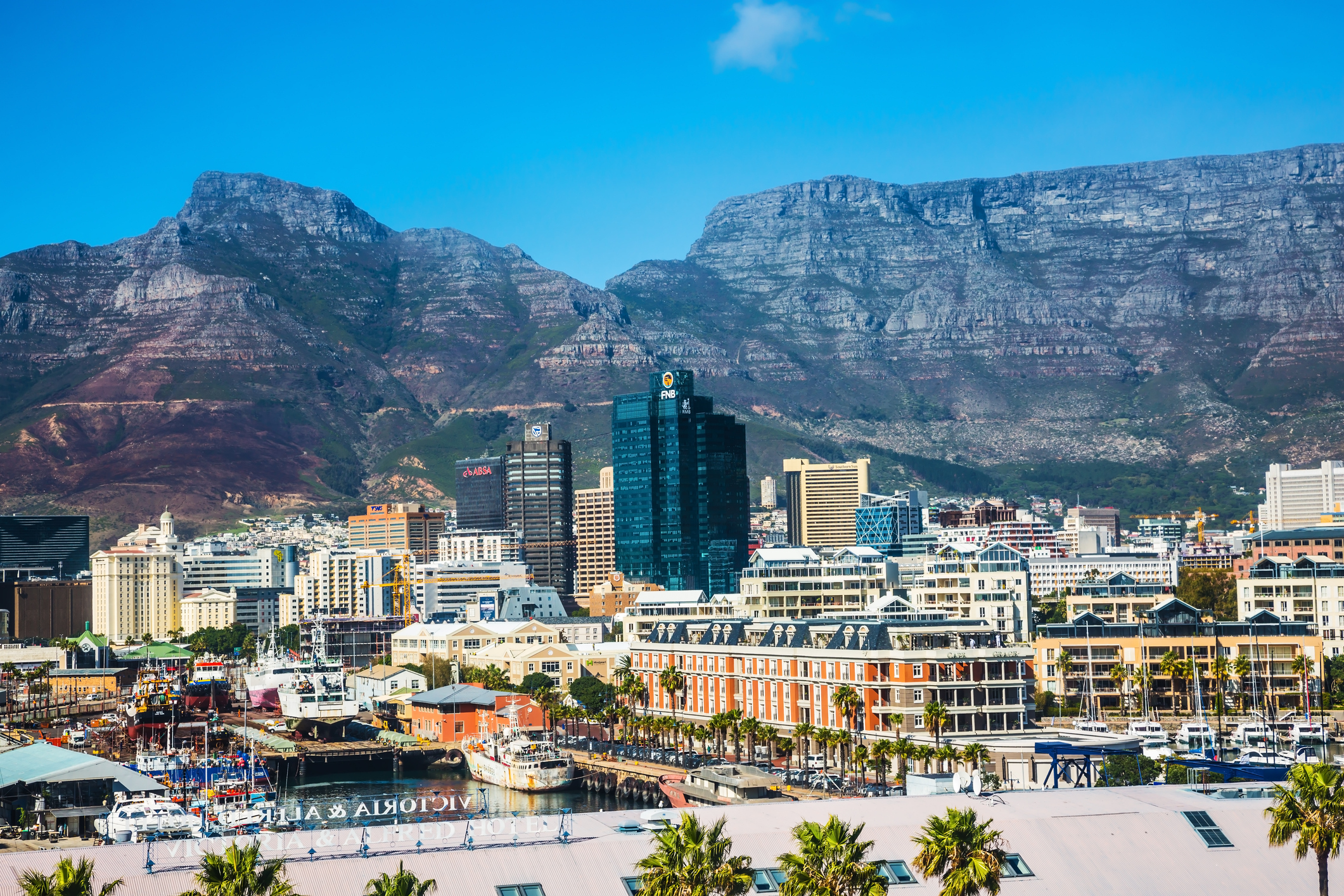 Cape Town launches Maya, an AI tool to help global investors do business in the city
