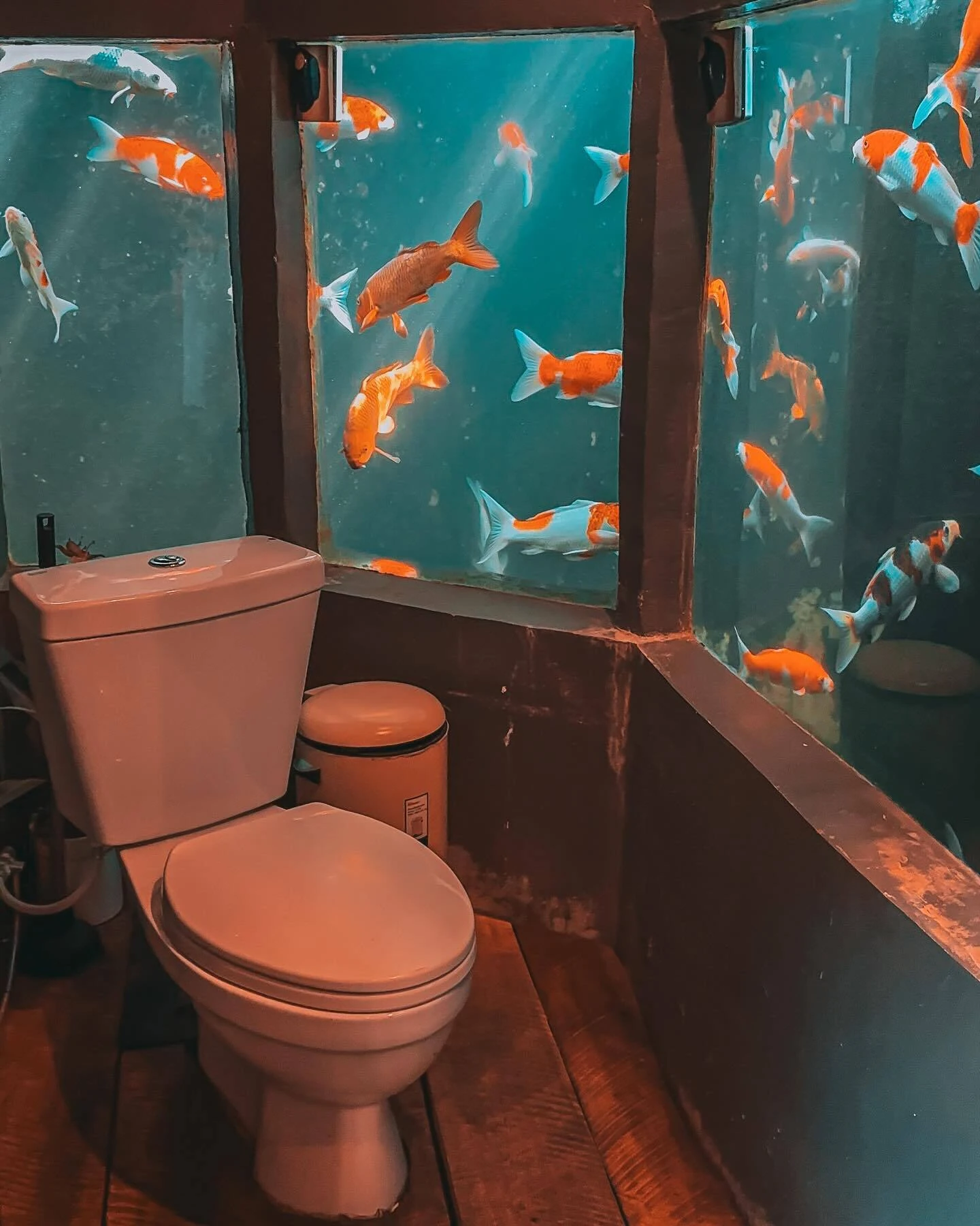 Carp Cafe toilet