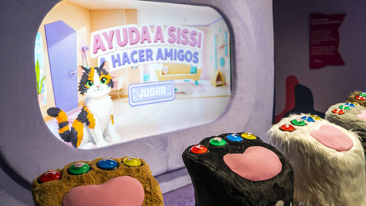 Así es el Museo del Gato en CDMX: actividades, sede y costo