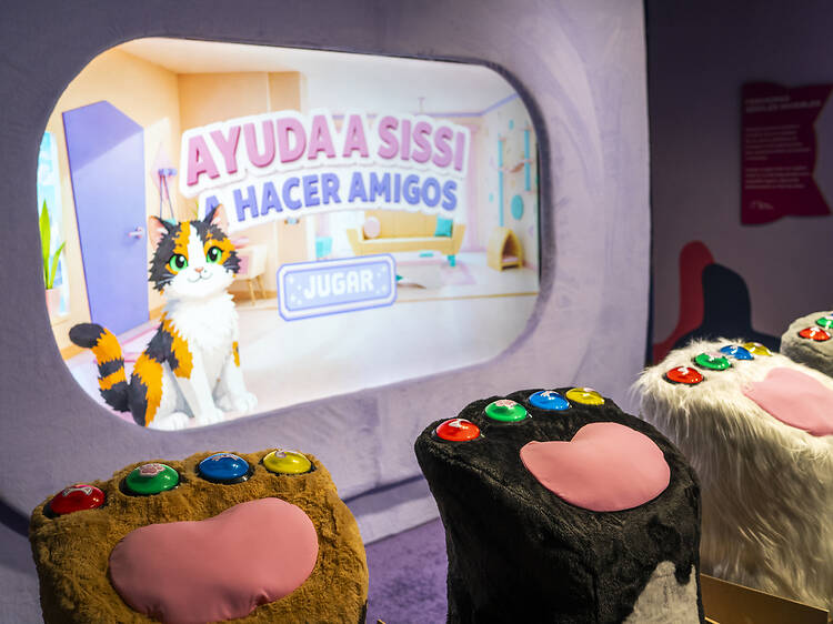 Así es el Museo del Gato en CDMX: actividades, sede y costo