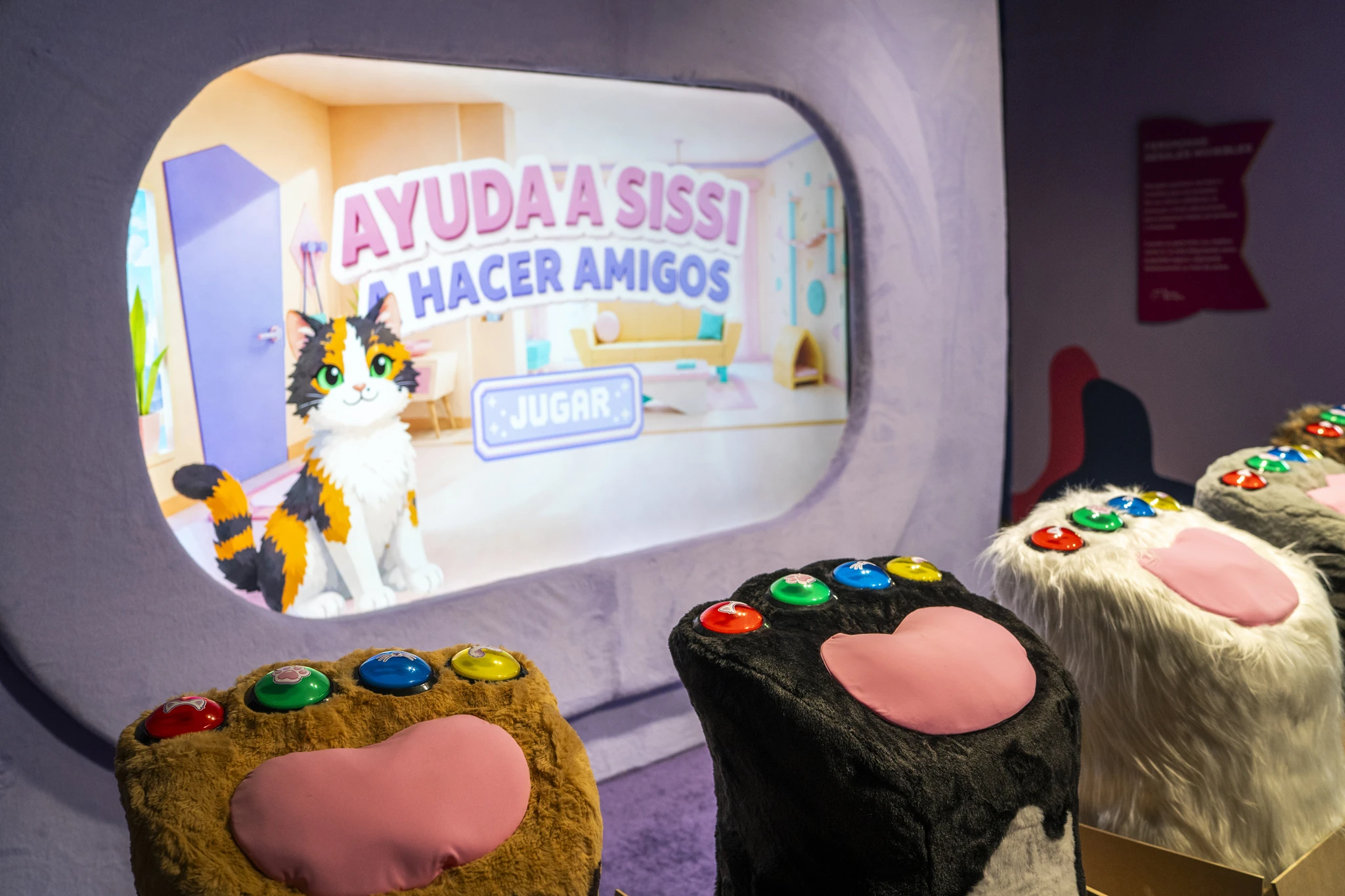 Museo del gato cdmx