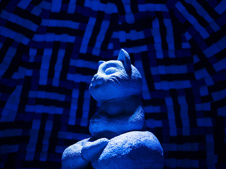 Museo del Gato CDMX Museo del Gato CDMX