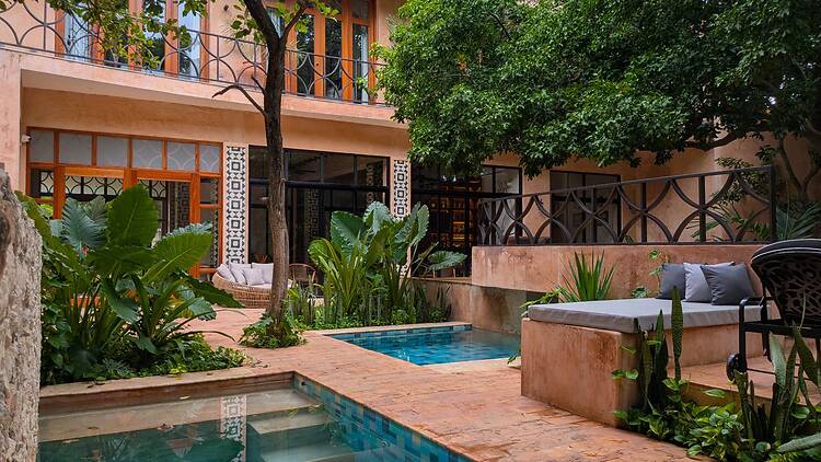 CIGNO Mejorada es un refugio de calma y sabor en Mérida