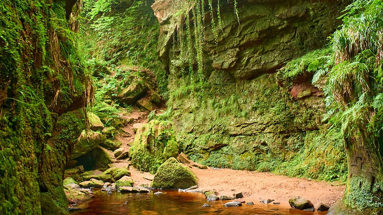 Finnich Glen, Scotland Finnich Glen, Scotland