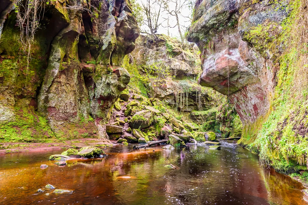 Finnich Glen, Scotland