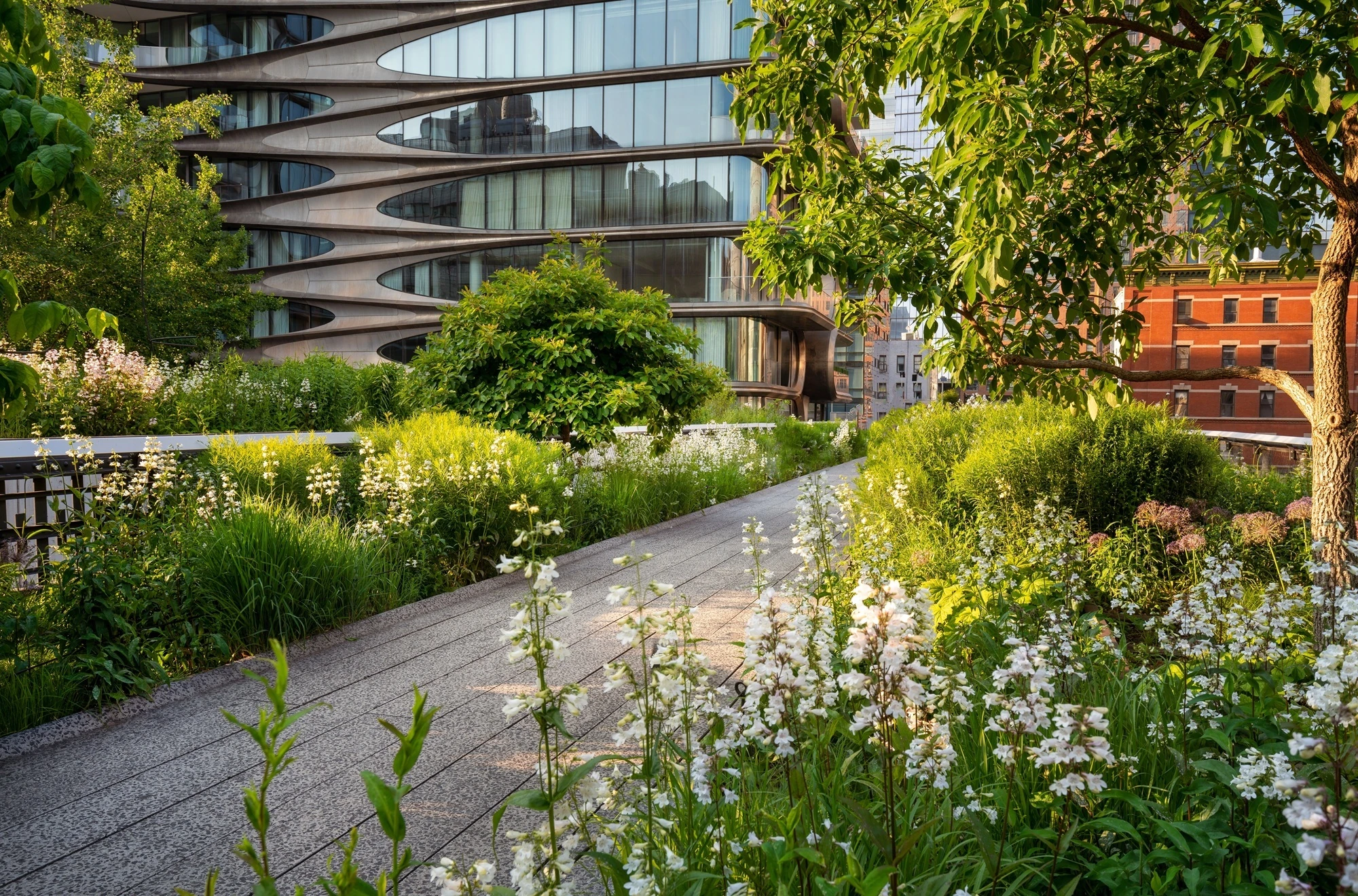 The High Line promenade in summer