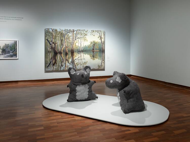 Ngarn Waângal: Art of the gum tree Ngarn Waângal: Art of the gum tree