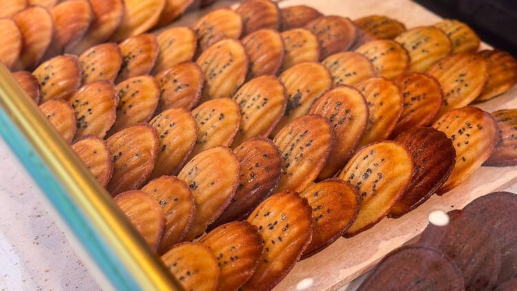 made madeleines 