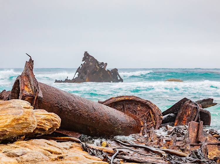Hunt for shipwrecks at Olifantsbos