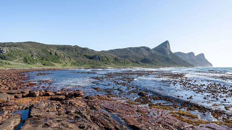 Escape the crowds at Buffels Bay (and Bordjiesrif)