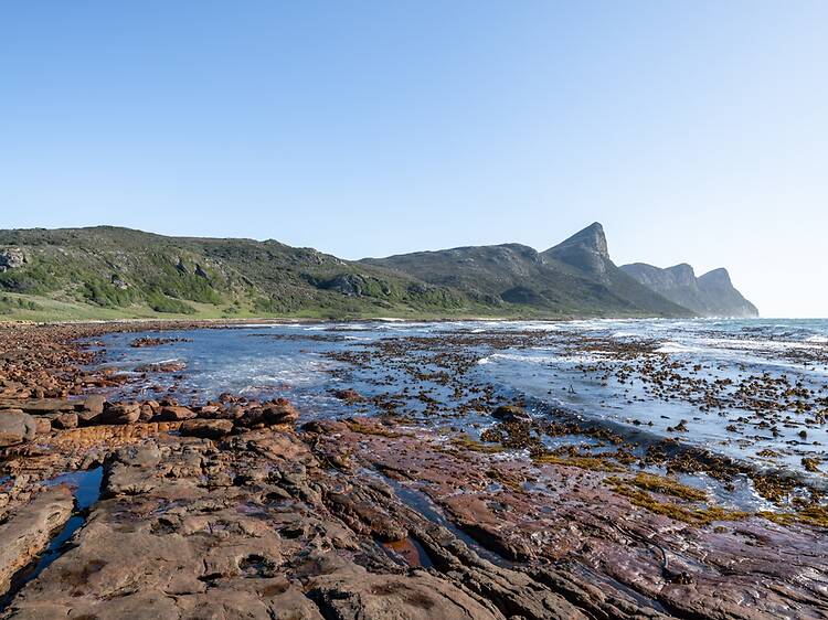 Escape the crowds at Buffels Bay (and Bordjiesrif)