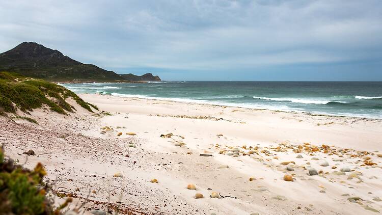 Walk the wild side at Platboom Beach
