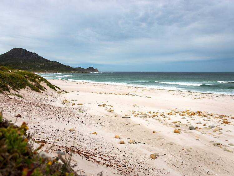 Walk the wild side at Platboom Beach