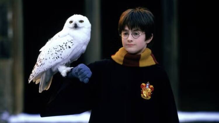 Escena de Harry Potter y la Piedra Filosofal