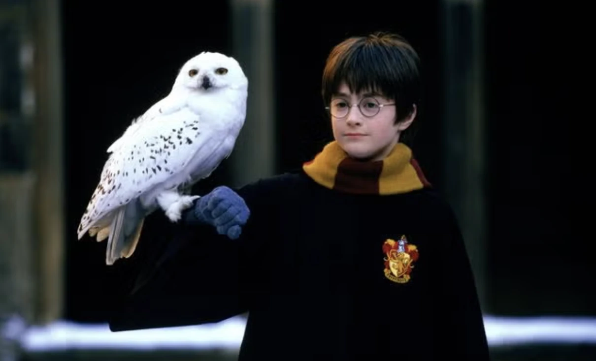 Escena de Harry Potter y la Piedra Filosofal