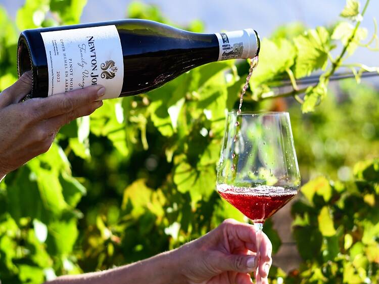 Newton Johnson Family Vineyards