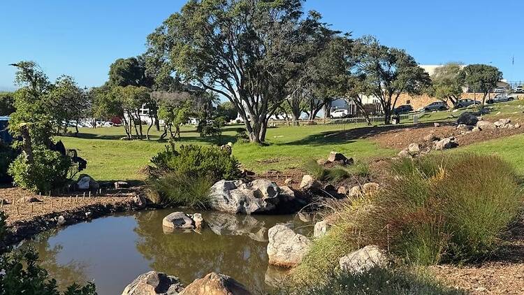 Slow down in Muizenberg Park
