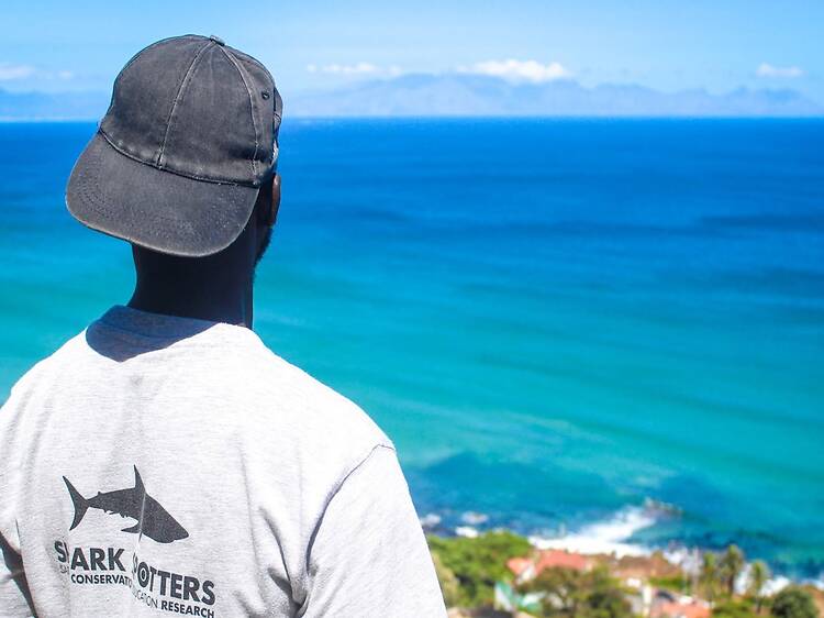 Meet Muizenberg’s Shark Spotters