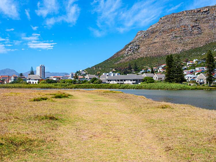 Go birding at Zandvlei