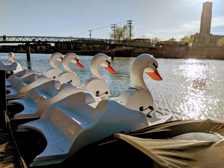 H2O Adventures - Swan