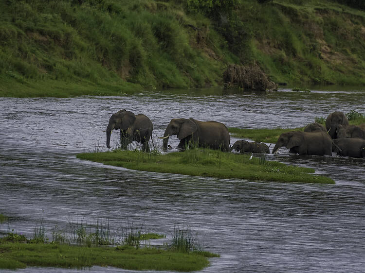 4 affordable places to stay near Kruger National Park's Malelane Gate